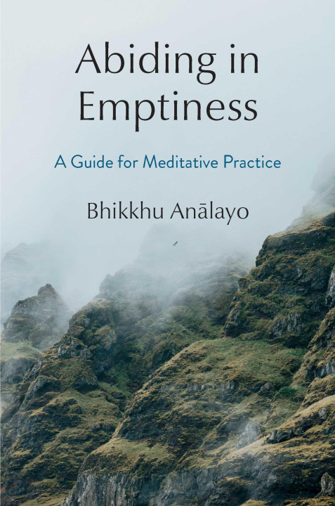 Könyv ABIDING IN EMPTINESS ANALAYO BHIKKHU