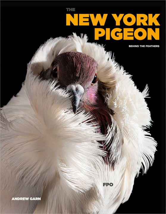 Kniha NEW YORK PIGEON GARN ANDREW