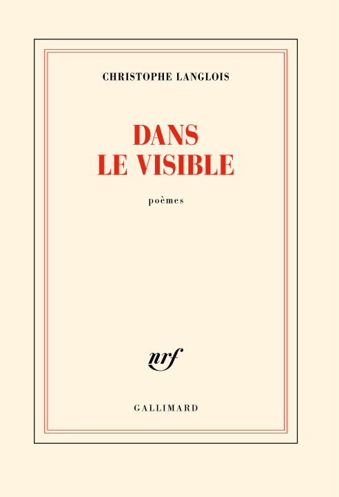 Knjiga Dans le visible Langlois