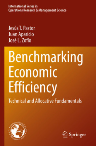 Knjiga Benchmarking Economic Efficiency Jesús T. Pastor