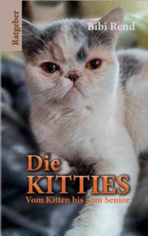 Kniha Die Kitties Bibi Rend