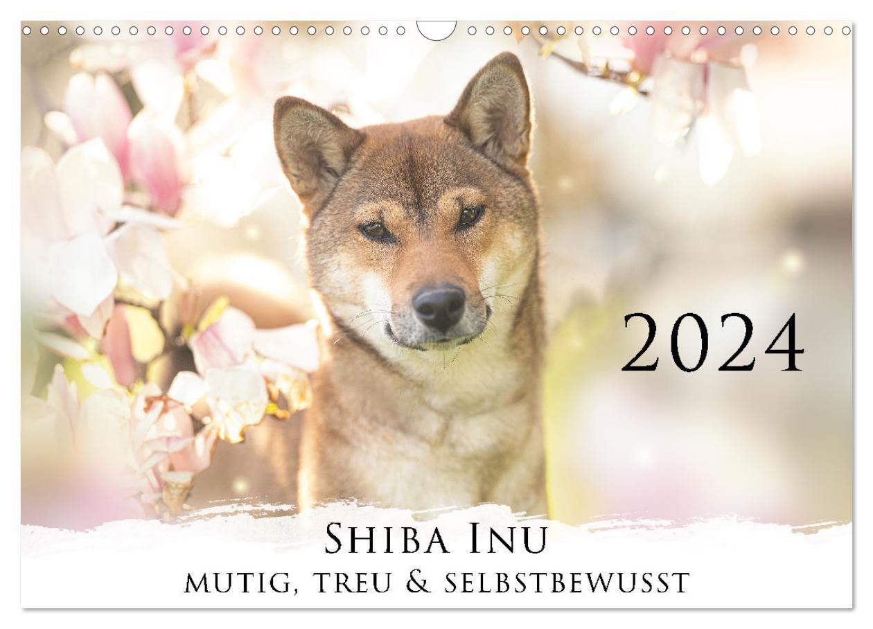 Calendar / Agendă Shiba Inu - mutig, treu, selbstbewusst (Wandkalender 2024 DIN A3 quer), CALVENDO Monatskalender Tamashinu Photography