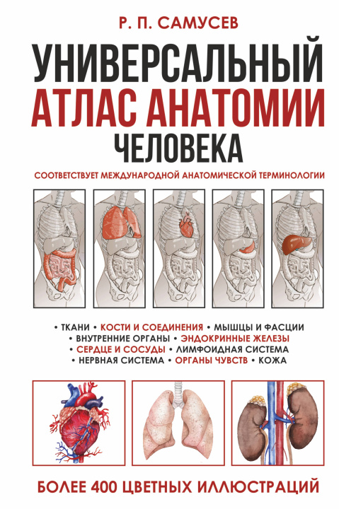 Kniha Универсальный атлас анатомии человека с цветными иллюстрациями Рудольф Самусев