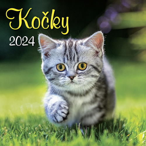 Naptár/Határidőnapló Kočky 2024 - nástěnný kalendář 