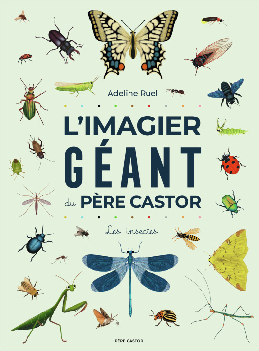 Buch L'Imagier géant du Père Castor Ruel