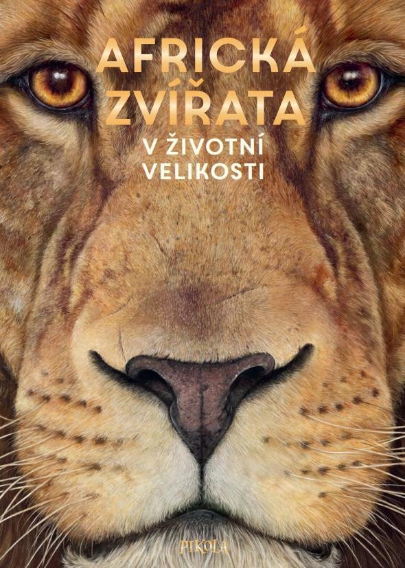 Book Africká zvířata: V životní velikosti Holger Haag