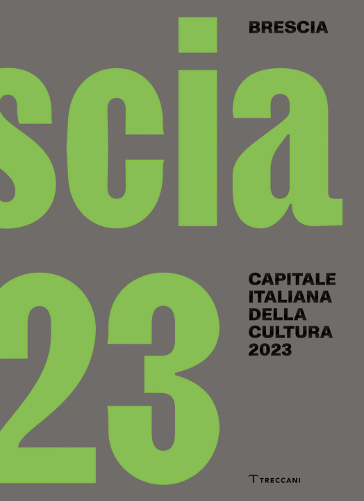 Книга Brescia. Capitale italiana della cultura 2023. Ediz. italiana e inglese 