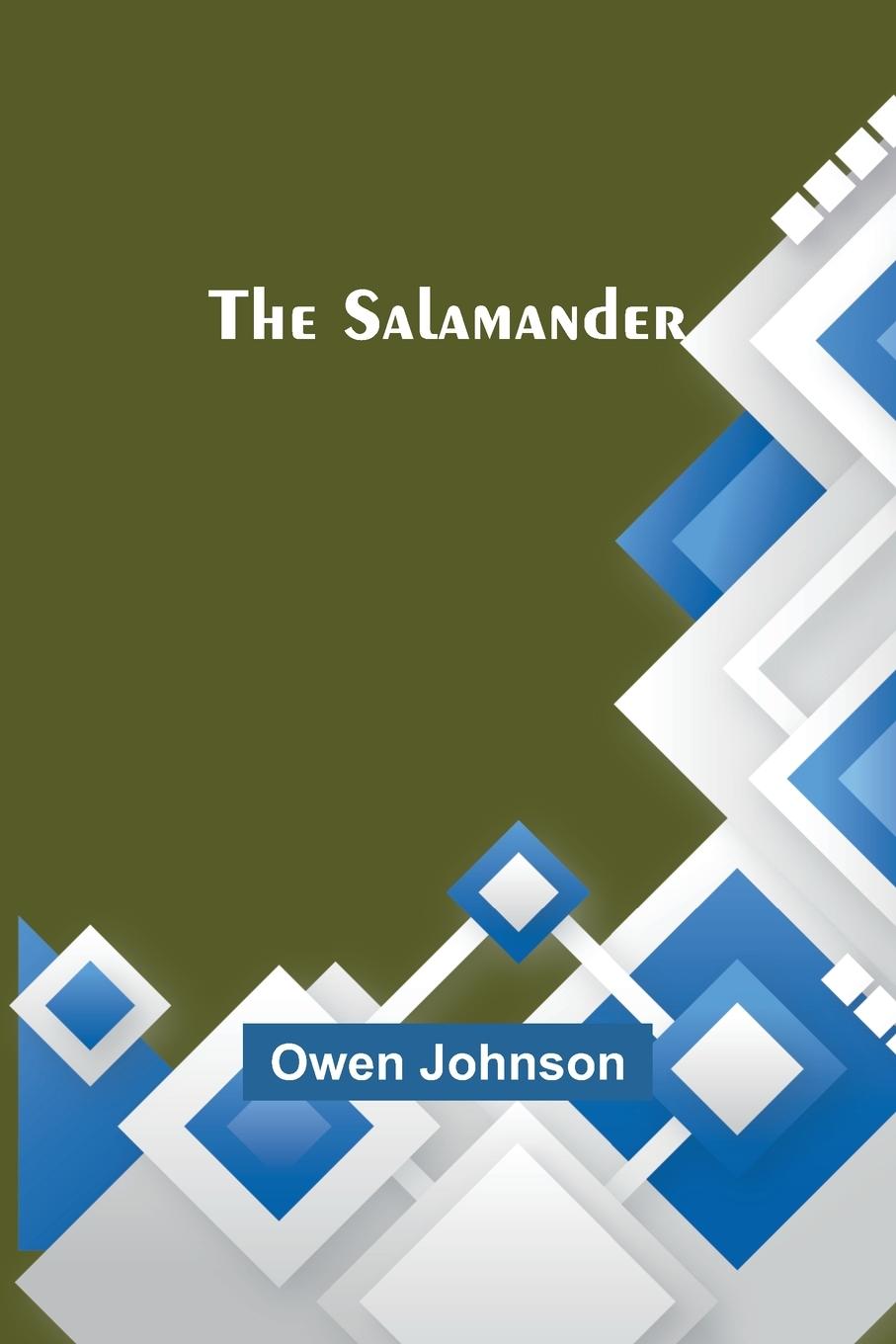Libro The Salamander Owen Johnson