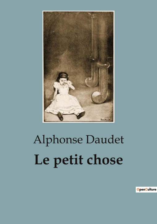 Knjiga Le petit chose Daudet