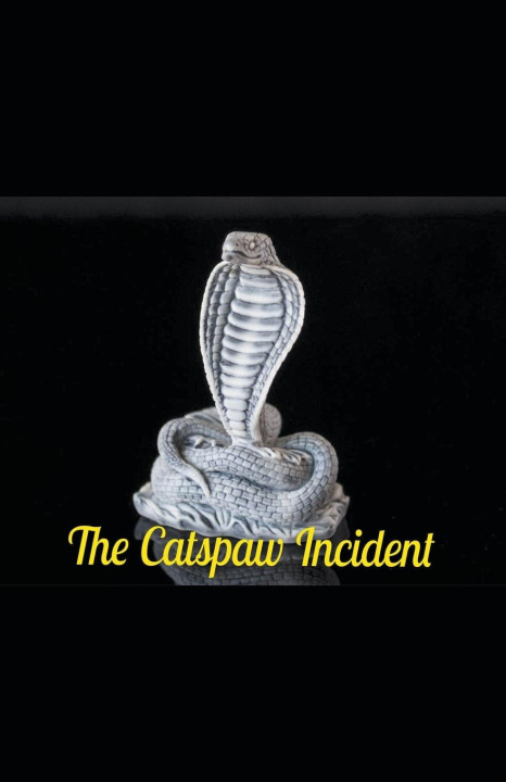 Książka The Catspaw Incident Drue Fairlie