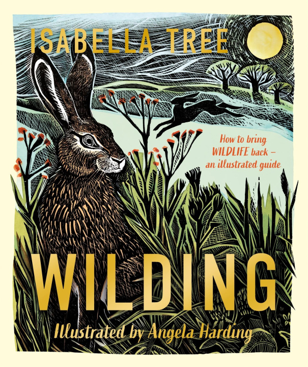 Könyv Wilding: An illustrated guide to letting nature back in Isabella Tree