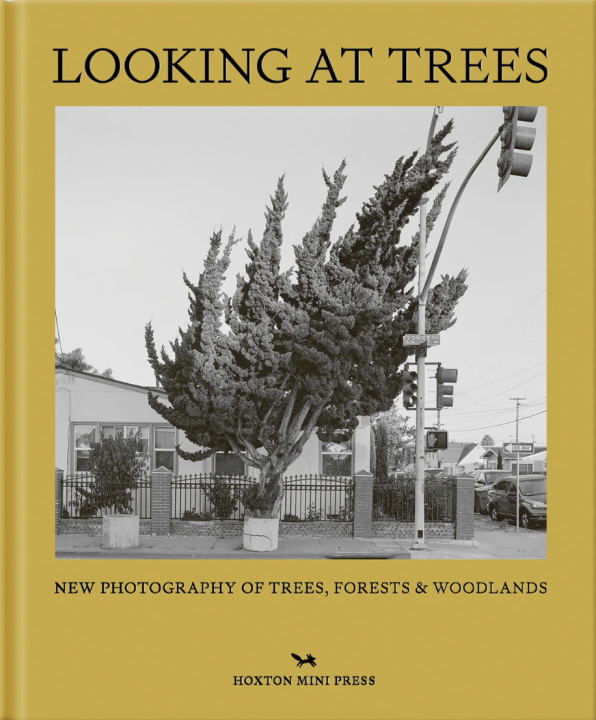 Book Looking At Trees Hoxton Mini Press