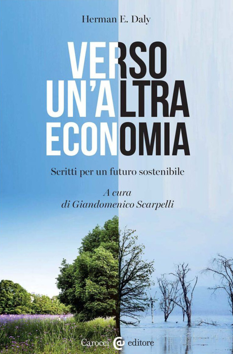 Kniha Verso un'altra economia. Scritti per un futuro sostenibile 