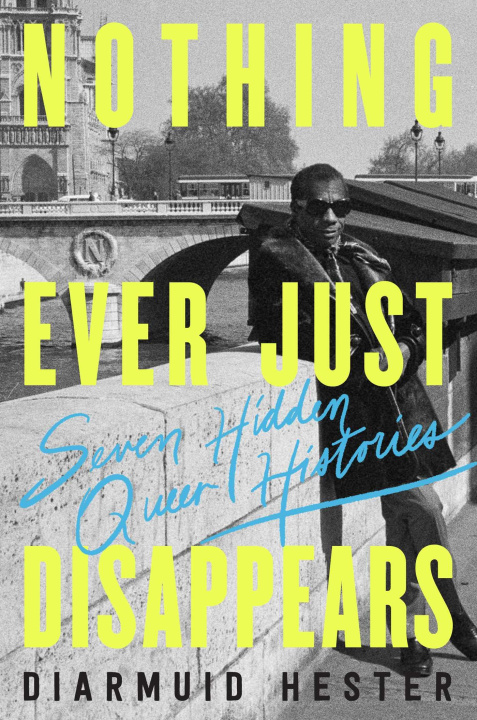 Book NOTHING EVER JUST DISAPPEARS HESTER DIARMUID