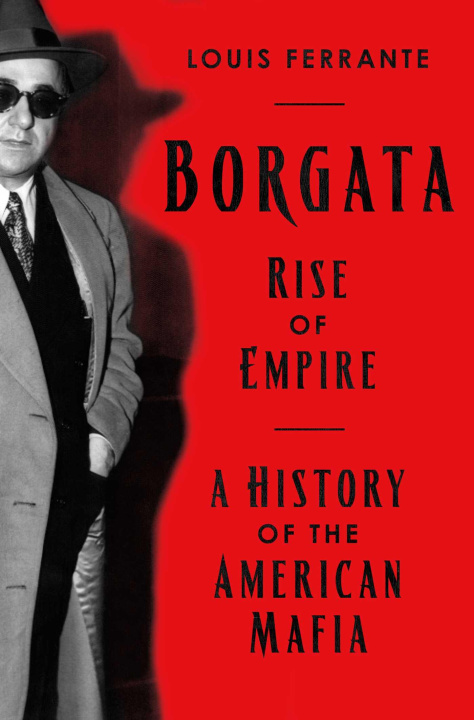 Knjiga BORGATA FERRANTE LOUIS
