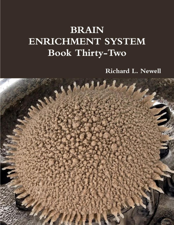 Buch BRAIN ENRICHMENT SYSTEM Book Thirty-Two Richard L. Newell