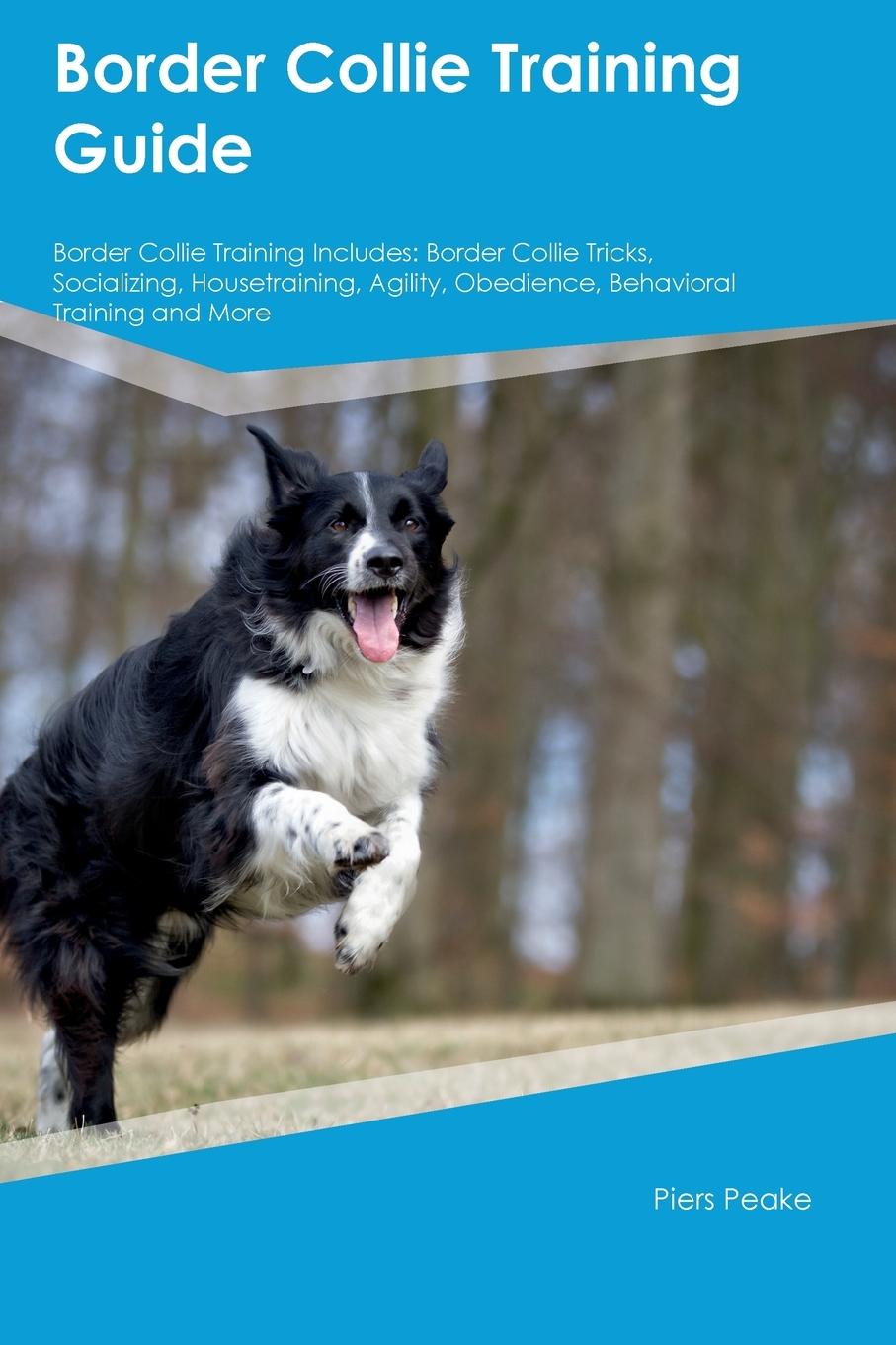 Kniha Border Collie Training Guide  Border Collie Training Includes 