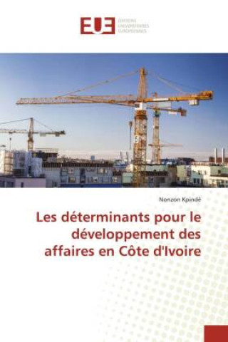 Kniha Les déterminants pour le développement des affaires en Côte d'Ivoire 