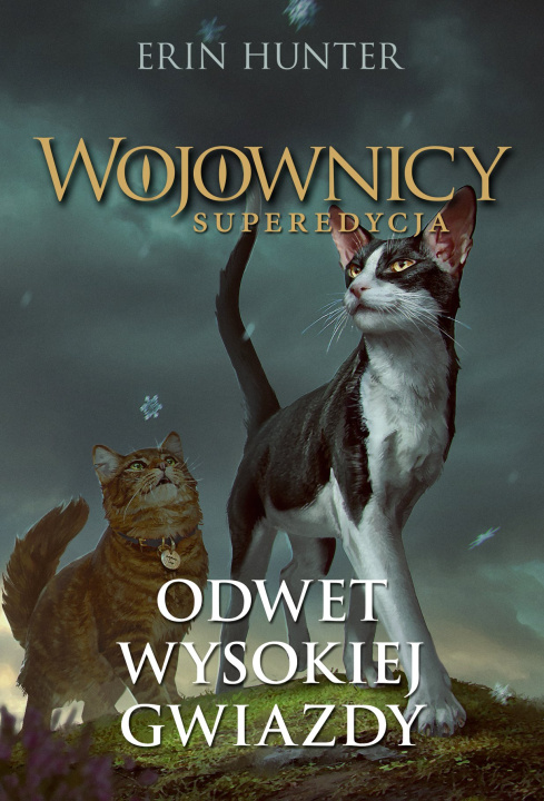 Carte Wojownicy Superedycja Tom 4 Odwet Wysokiej Gwiazdy Hunter Erin