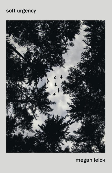 Knjiga Soft Urgency Megan Leick