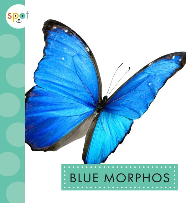 Knjiga Blue Morphos Thielges