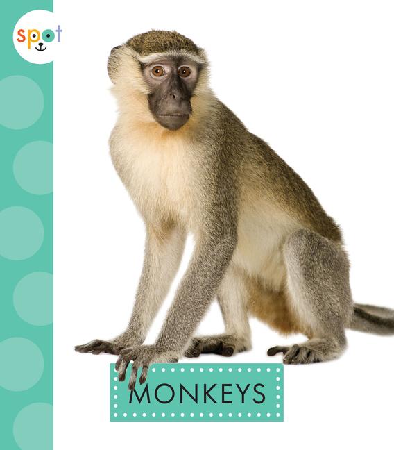 Book Monkeys Thielges