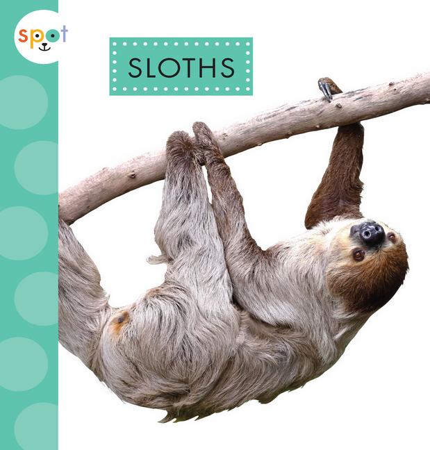 Knjiga Sloths Thielges