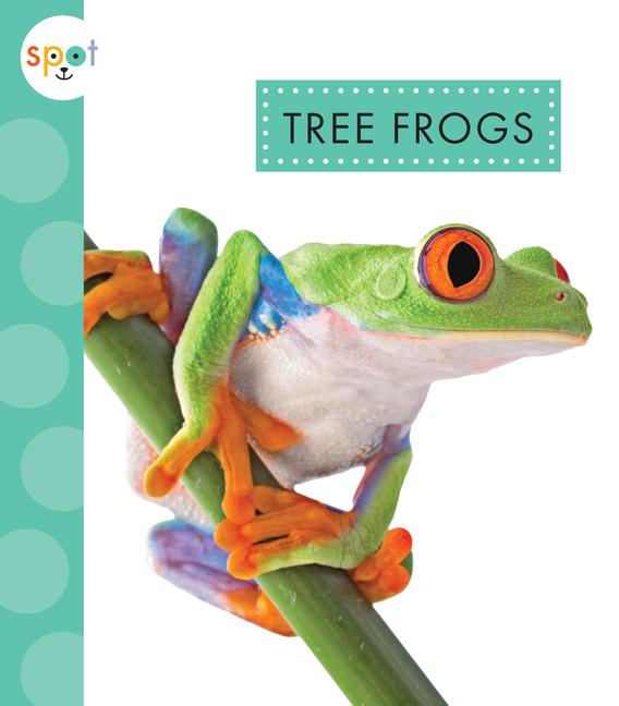 Buch Tree Frogs Thielges
