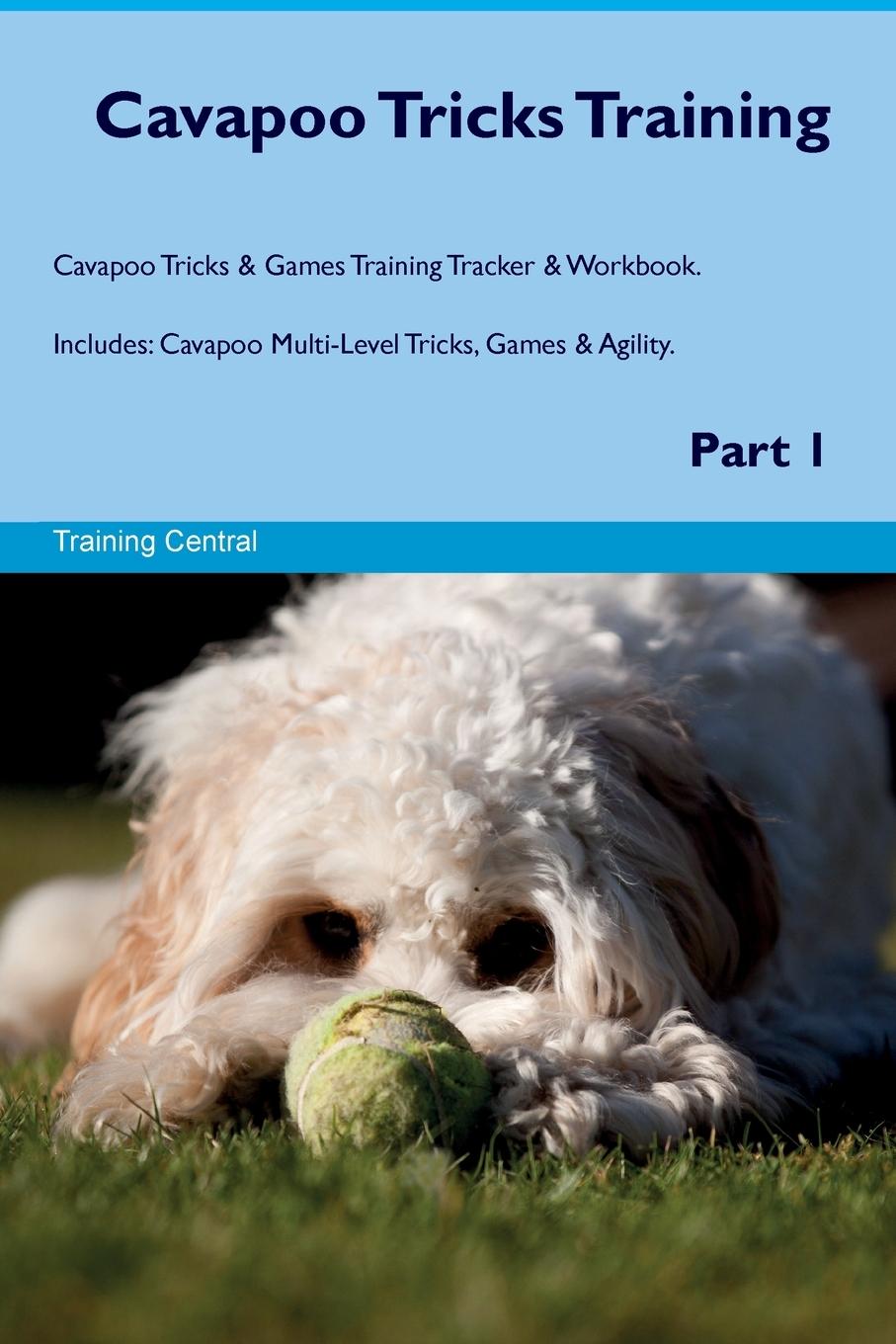 Knjiga Cavapoo Tricks Training Cavapoo Tricks & Games Training Tracker &  Workbook.  Includes Training Central