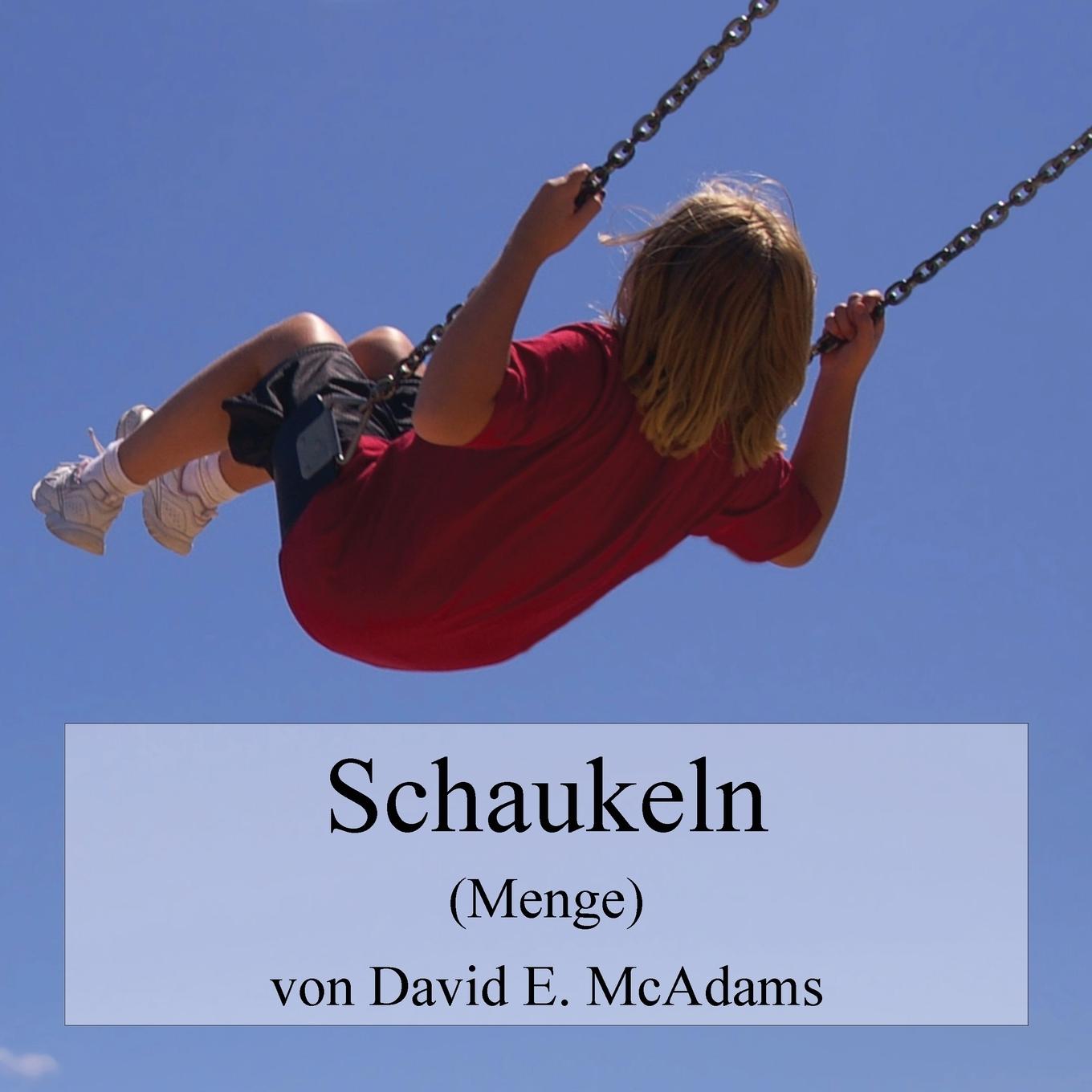 Knjiga Schaukeln David E. McAdams