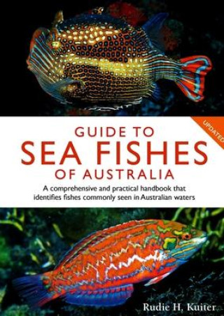 Kniha Guide to Sea Fishes of Australia 