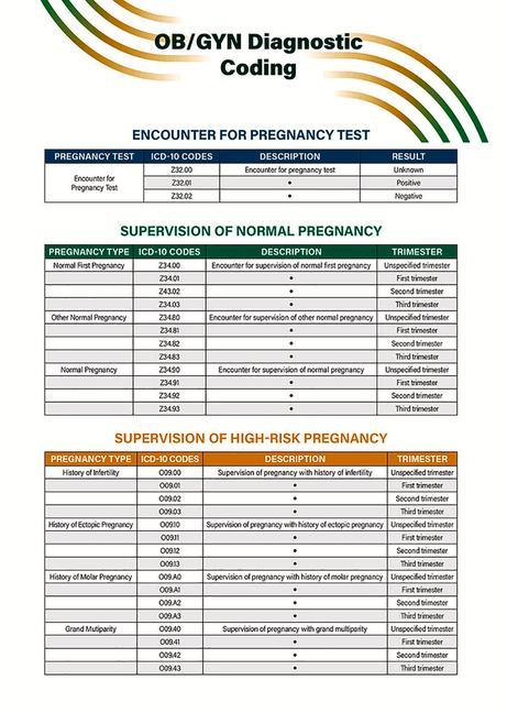 Knjiga Ob/GYN Diagnostic Coding Quick Reference Guide 