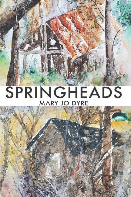 Knjiga Springheads Mary Jo Dyre