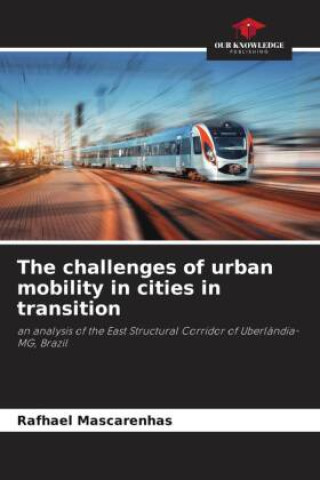 Könyv The challenges of urban mobility in cities in transition 