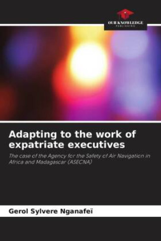 Könyv Adapting to the work of expatriate executives 