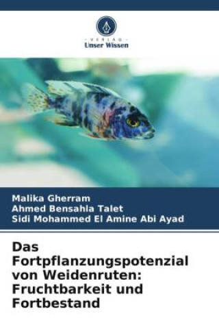 Kniha Das Fortpflanzungspotenzial von Weidenruten: Fruchtbarkeit und Fortbestand Ahmed Bensahla Talet