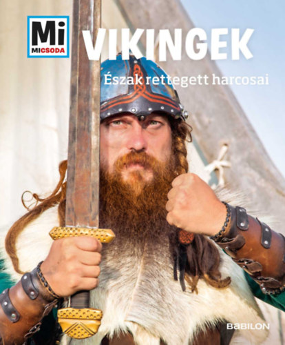 Kniha Vikingek - Mi Micsoda Andrea Schaller