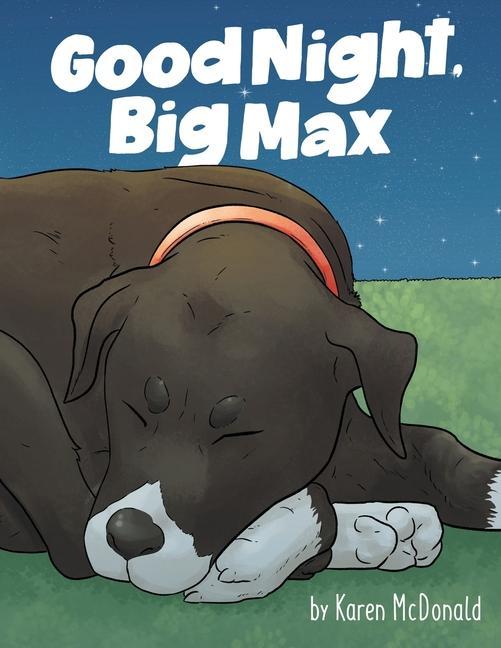 Buch Good Night Big Max Karen McDonald