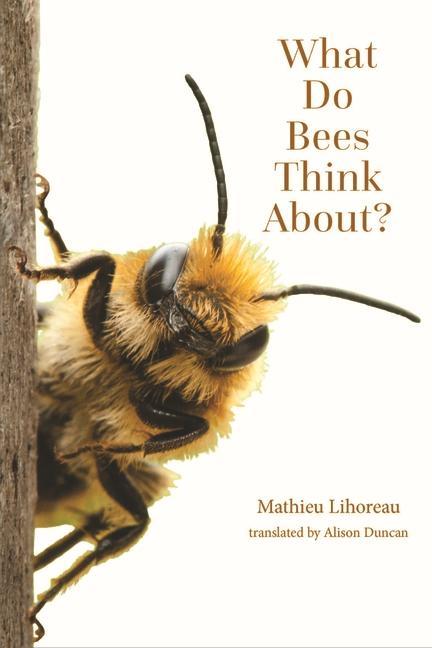 Knjiga What Do Bees Think About? Mathieu Lihoreau