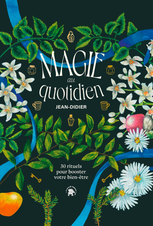 Kniha Magie au quotidien de Jean Didier Jean-Didier