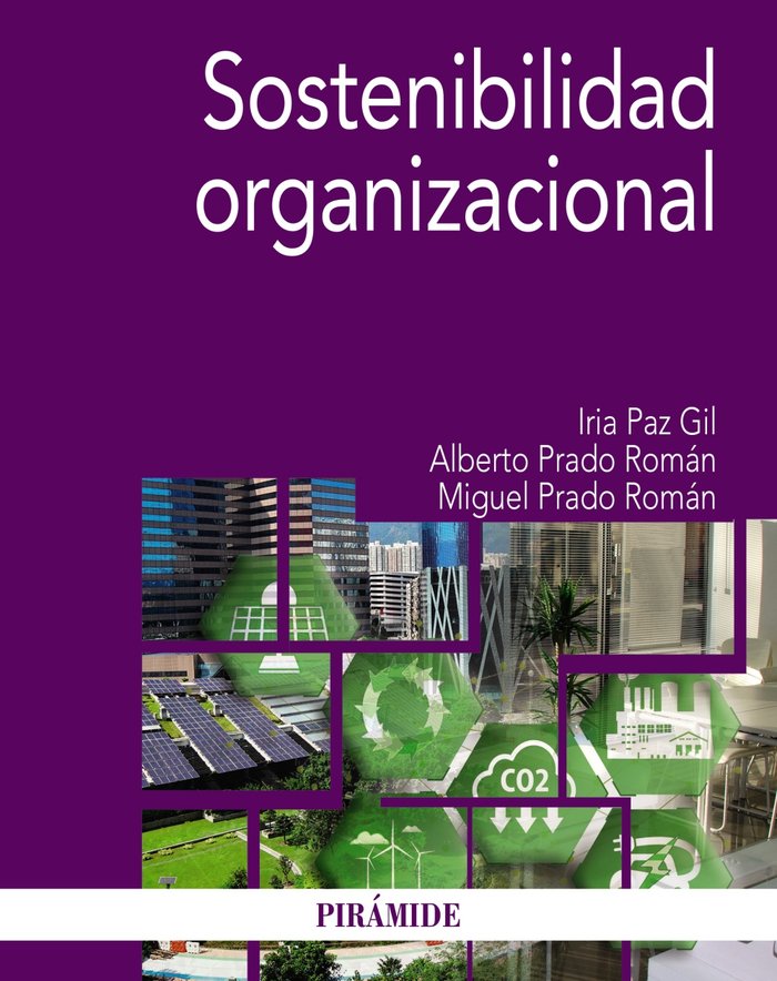 Книга Sostenibilidad organizacional PAZ GIL