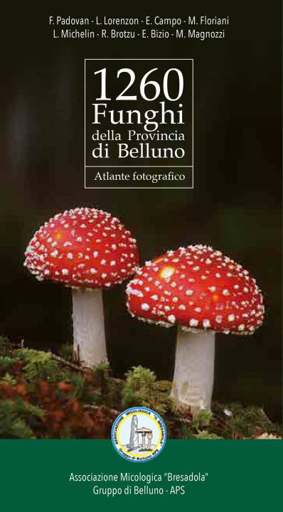 Könyv 1260 funghi della provincia di Belluno. Atlante fotografico 
