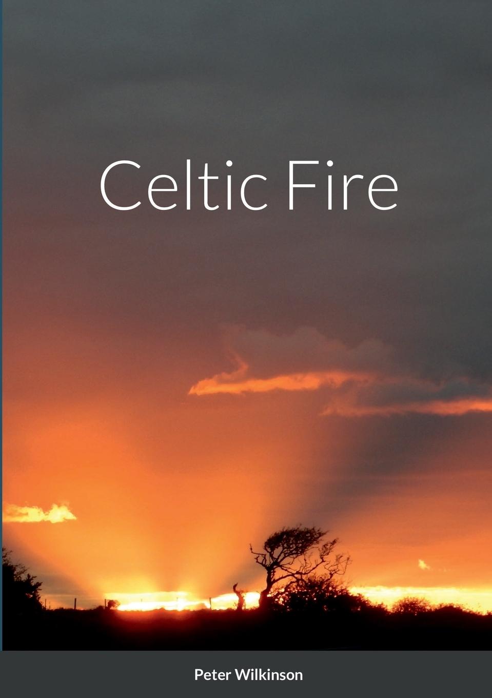 Buch Celtic Fire Peter Wilkinson