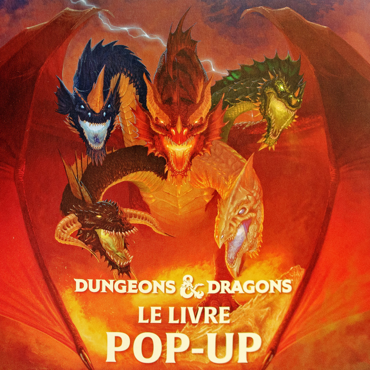 Kniha Donjons et Dragons : pop up Matthew Reinhart
