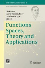 Functions Spaces, Theory and Applications