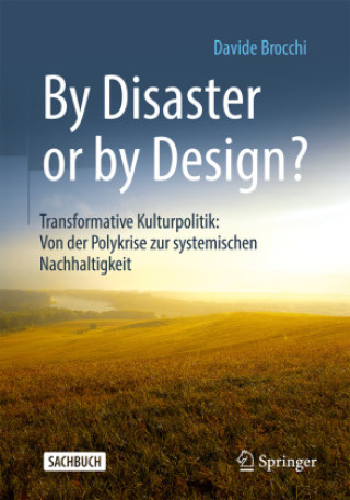 Könyv By Disaster or by Design? Davide Brocchi