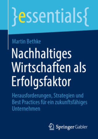 Kniha Nachhaltiges Wirtschaften als Erfolgsfaktor Martin Bethke