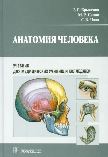 Carte Анатомия человека. Учебник для педагогических вузов Светлана Чава