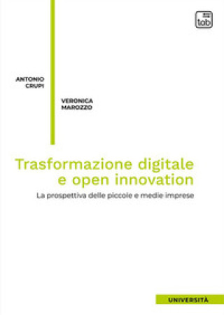Könyv Trasformazione digitale e open innovation. La prospettiva delle piccole e medie imprese Antonio Crupi