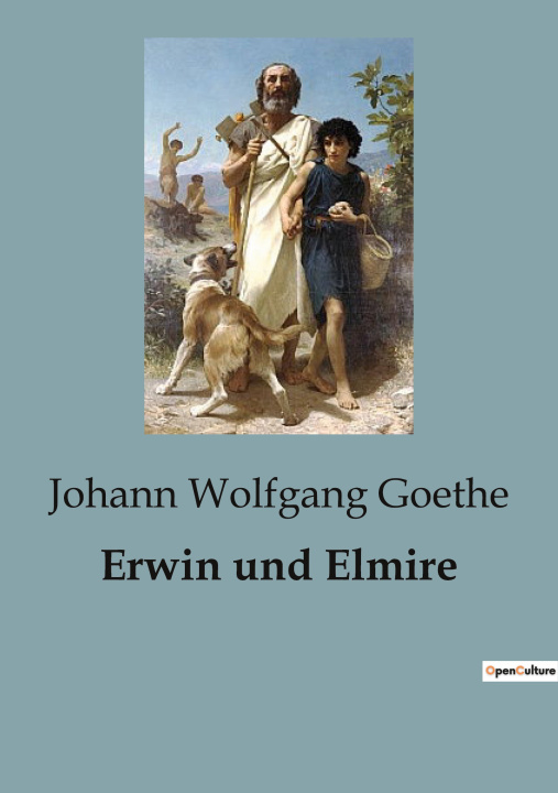 Kniha ERWIN UND ELMIRE GOETHE JOHANN WOLFGANG